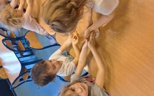 motyle (12)