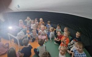 Mobilne planetarium Orbitek- Motylki (7)