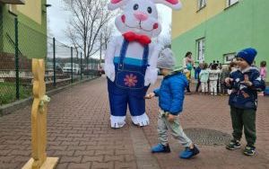 Zajączek- Motylki (2)