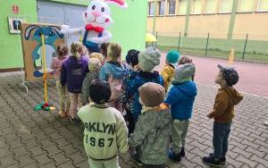Zajączek- Motylki (17)