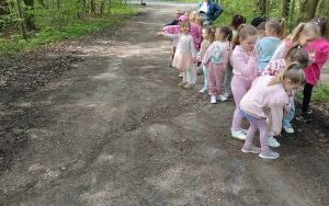 Dzień Ziemi i Projekt Kubusiowi Przyjaciele Natury w Żabkach (4)
