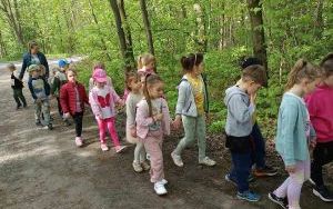 Dzień Ziemi i Projekt Kubusiowi Przyjaciele Natury w Żabkach (7)