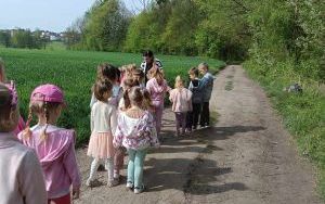 Dzień Ziemi i Projekt Kubusiowi Przyjaciele Natury w Żabkach (8)