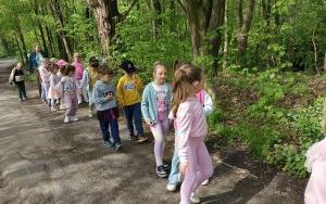 Dzień Ziemi i Projekt Kubusiowi Przyjaciele Natury w Żabkach (9)