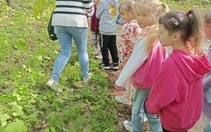 Dzień Ziemi i Projekt Kubusiowi Przyjaciele Natury w Żabkach (14)