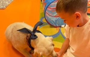 Dogoterapia w Żuczkach (9)