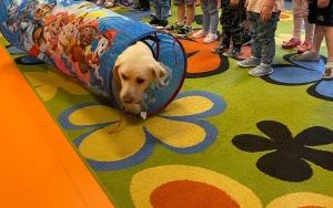 Dogoterapia w Żuczkach (11)