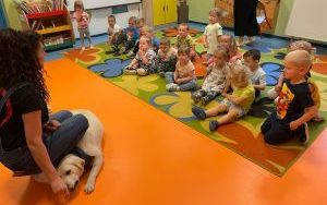 Dogoterapia w Żuczkach (13)