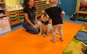 Dogoterapia w Żuczkach (4)