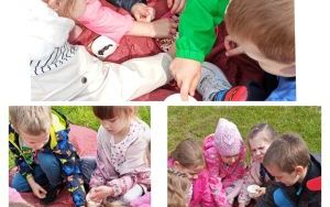 Wycieczka do Ogrodu Botanicznego w Mikołowie (3)