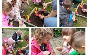 Wycieczka do Ogrodu Botanicznego w Mikołowie (7)