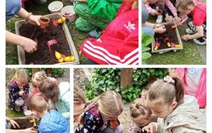 Wycieczka do Ogrodu Botanicznego w Mikołowie (8)
