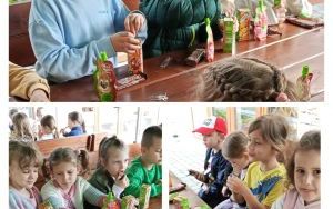 Wycieczka do Ogrodu Botanicznego w Mikołowie (9)