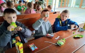 Wycieczka do Ogrodu Botanicznego w Mikołowie (4)