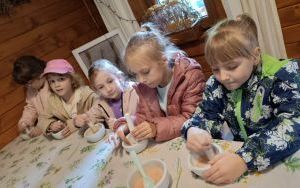 Wycieczka do Ogrodu Botanicznego w Mikołowie (11)