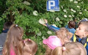 Wycieczka do Ogrodu Botanicznego w Mikołowie (12)