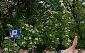 Wycieczka do Ogrodu Botanicznego w Mikołowie (13)