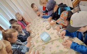 Wycieczka do Ogrodu Botanicznego w Mikołowie (11)