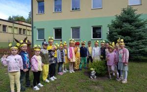 Dzień Pszczoły w Żabkach (1)