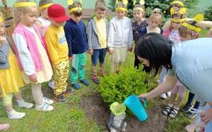 Dzień Pszczoły w Żabkach (5)